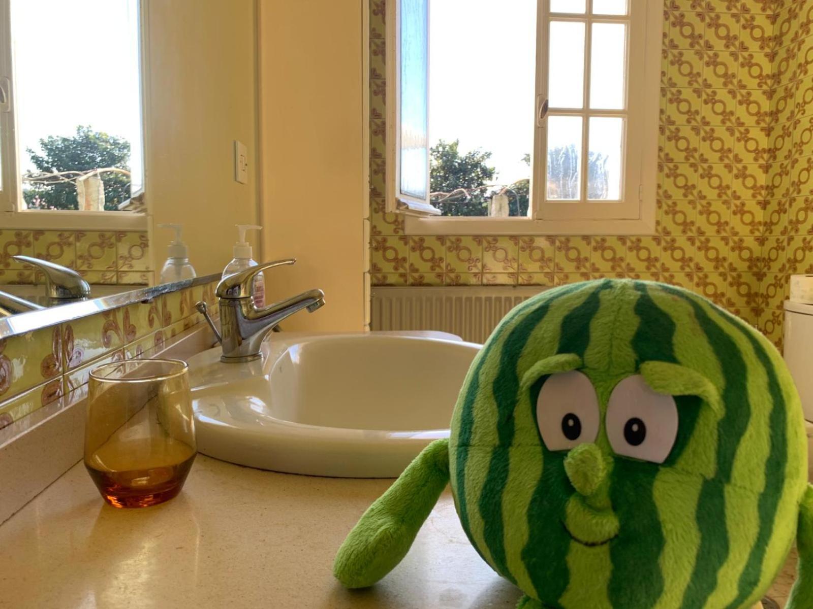 A Casa De Abelleira Ponteareas B&B 외부 사진