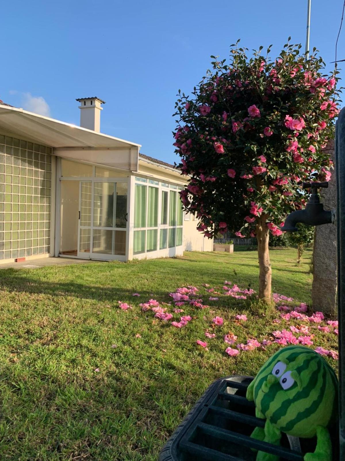 A Casa De Abelleira Ponteareas B&B 외부 사진