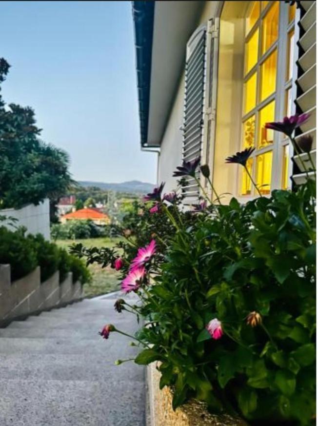 A Casa De Abelleira Ponteareas B&B 외부 사진