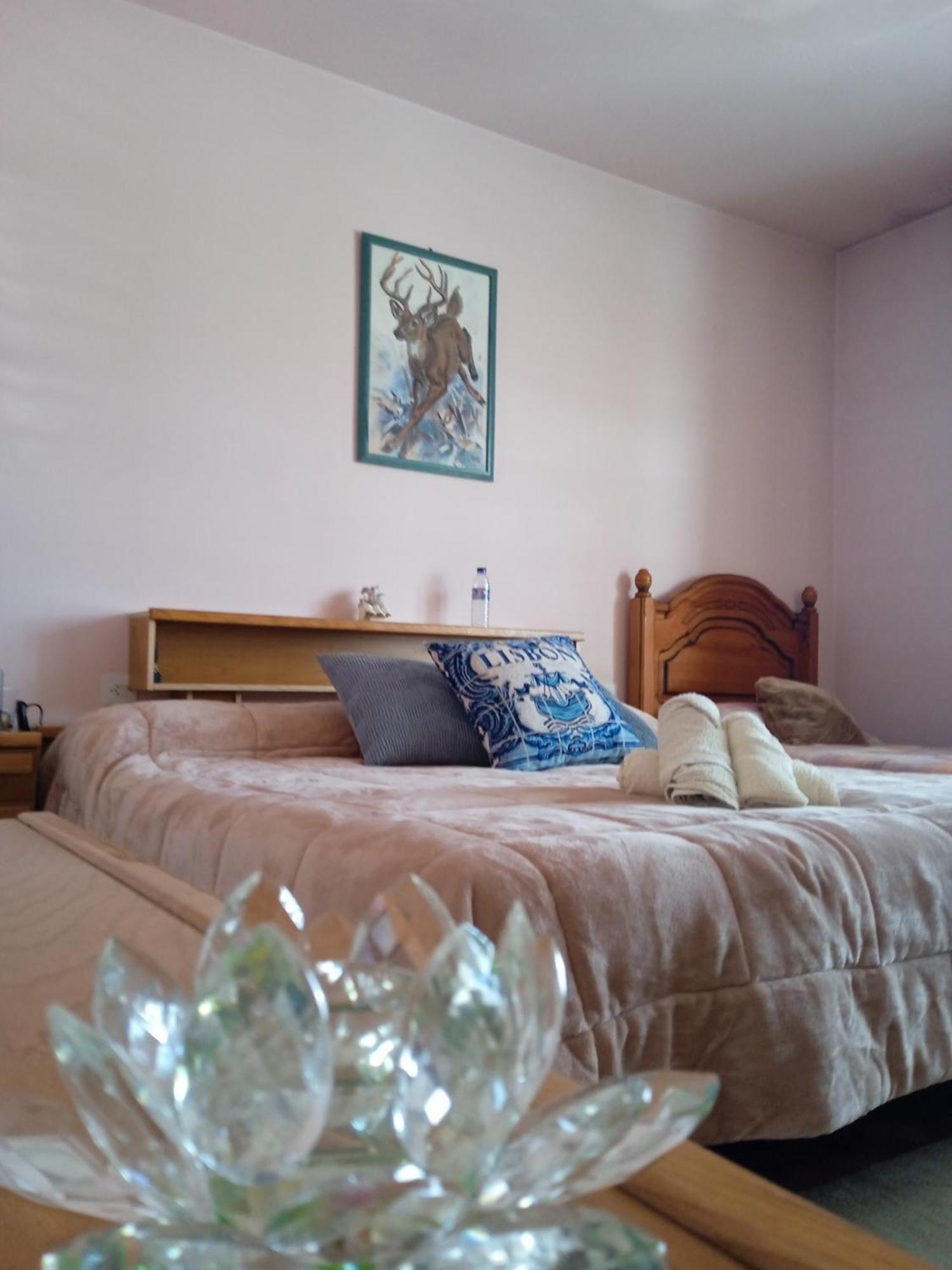 A Casa De Abelleira Ponteareas B&B 외부 사진